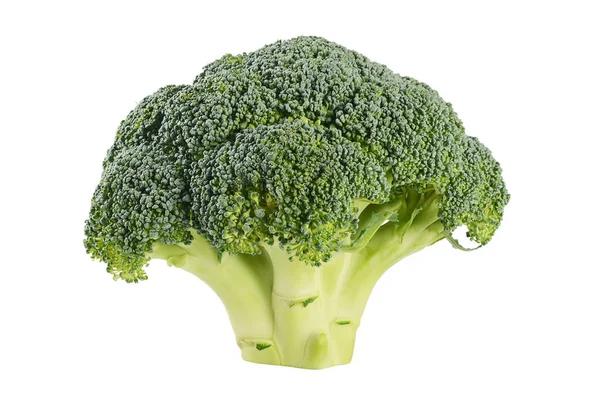 Verse broccoli geïsoleerd op witte achtergrond — Stockfoto