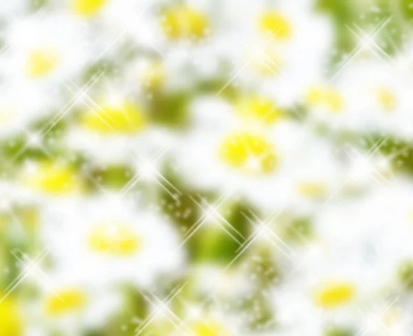 Görüntü'nün soyut bir arka plan bahar — Stok fotoğraf