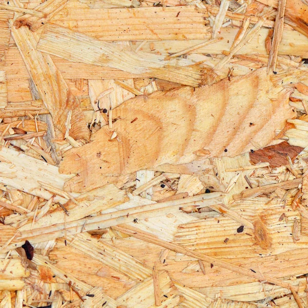 Background from pressurized sawdust closeup — Stock Photo, Image