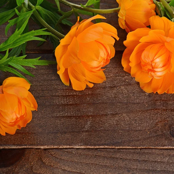 Beautiful orange flowers on wooden background — Stock Photo, Image