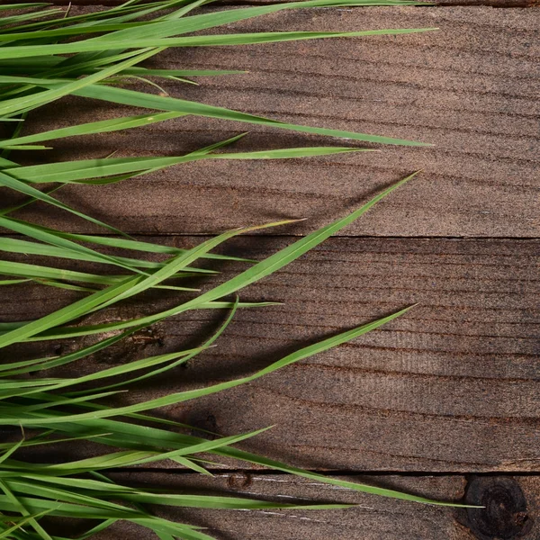 Зеленая трава на деревянном фоне — стоковое фото