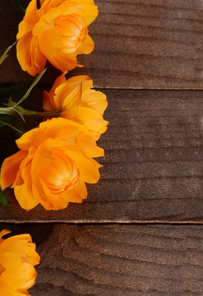 Nydelige oransje blomster på trebakgrunn – stockfoto