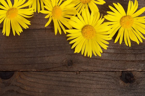 Camomilla gialla su fondo di legno — Foto Stock