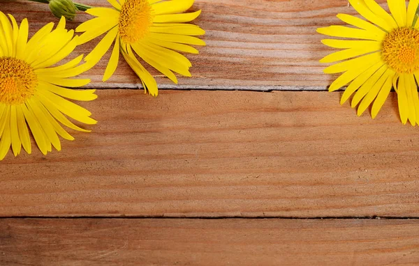 Manzanilla amarilla sobre fondo de madera — Foto de Stock