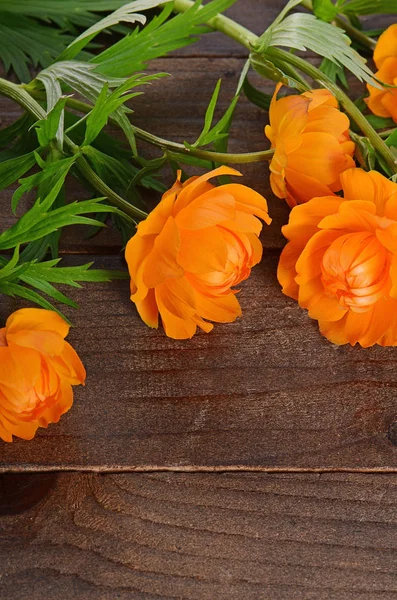 Schöne Orangefarbene Blumen Auf Einem Hölzernen Hintergrund — Stockfoto