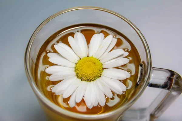 Herbal chamomile tea — Stock Photo, Image