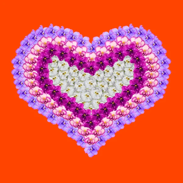 Coração de flores de Saintpaulia em um fundo vermelho. O cartão do Valentine. Forma de coração feito de botões de flor senpolia para o dia dos namorados do amor . — Fotografia de Stock