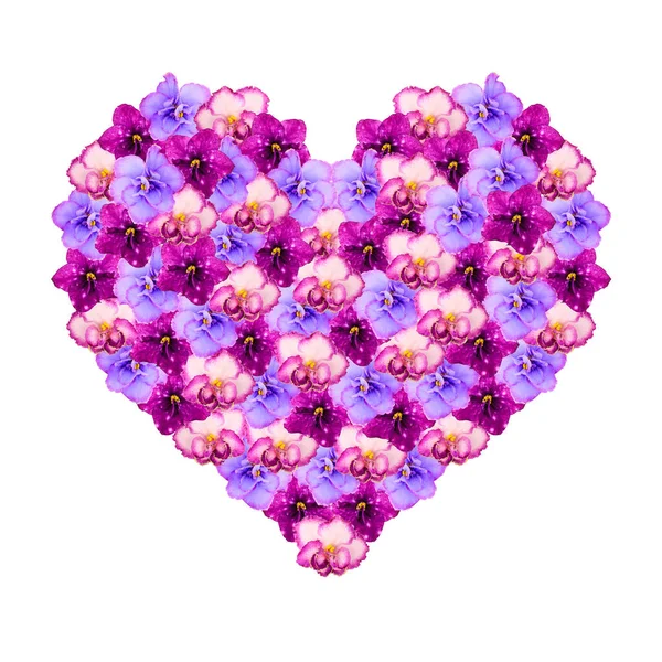 Corazón símbolo del amor de saintpaulia flores aisladas sobre fondo blanco — Foto de Stock