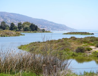 A view of a Salt Water Marsh in Malibu, California.