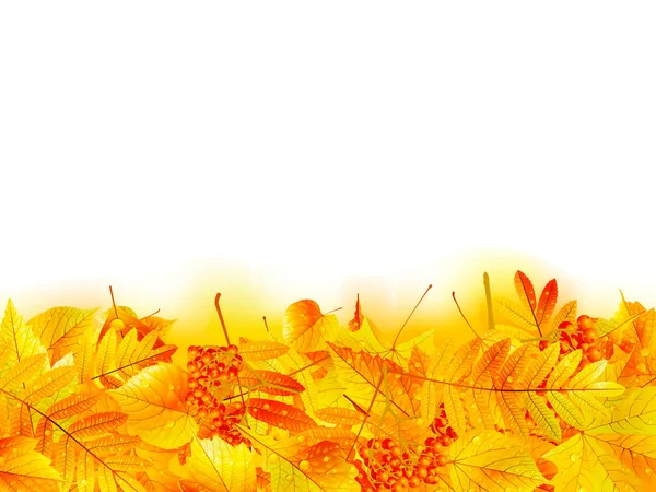 Modelo de banner de outono com folha de bordo . — Vetor de Stock