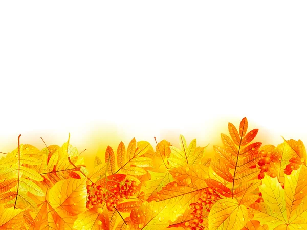 Akçaağaç yaprağı ile sonbahar afiş şablon. — Stok Vektör