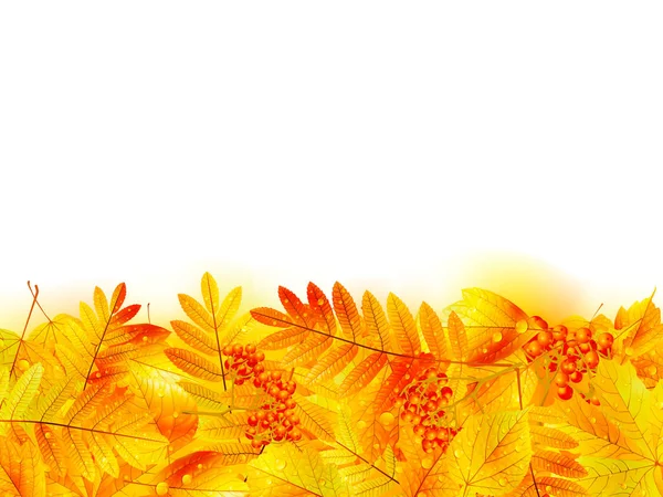 Modello di banner autunnale con foglia d'acero . — Vettoriale Stock