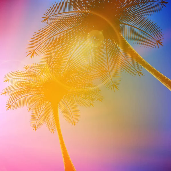 Palmiers avec beau coucher de soleil . — Image vectorielle