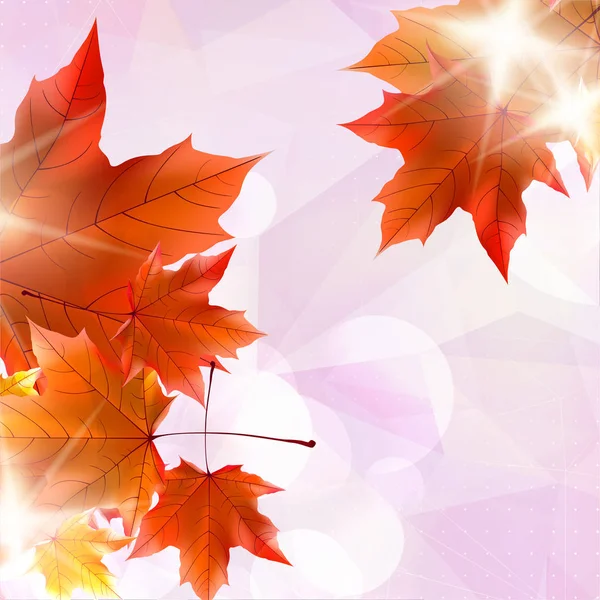 Abstract autumn illustration with maple Leaves. — Stock Vector