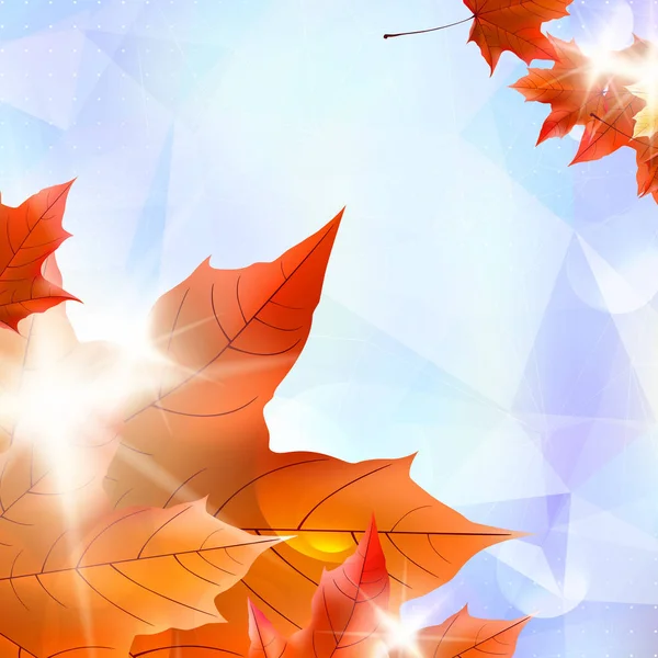 Abstract autumn illustration with maple Leaves. — Stock Vector