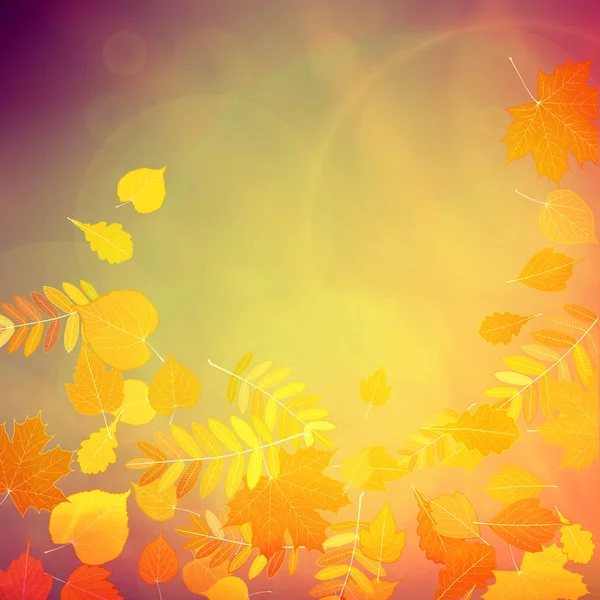 Το φθινόπωρο τα πολύχρωμα φύλλα κόκκινα και κίτρινα. Διανυσματικά Γραφικά