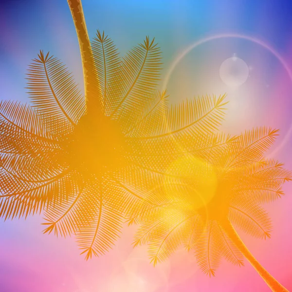 Palm trees with beautiful sunset. Stock Illustration