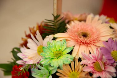 Grafik ve web tasarımı için moda çiçeklerin fotoğrafı. Web ya da mobil uygulama için çiçek resmi.