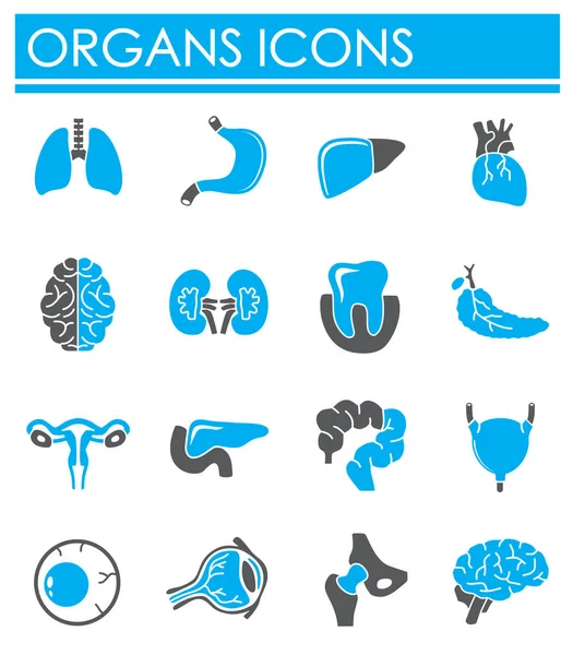 Iconos relacionados con órganos humanos establecidos en el fondo para el diseño gráfico y web. Símbolo de concepto de ilustración creativa para web o aplicación móvil . — Archivo Imágenes Vectoriales