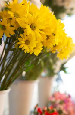 Çiçekli bir buket. Çiçek arkaplan. Yüzeysel derinlikte fotoğraf. Yumuşak tonlu renkler