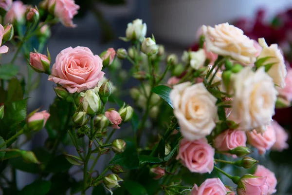 Strauß mit Blüte. Floraler Hintergrund. Flachbild-Foto. weiche Farbtöne — Stockfoto