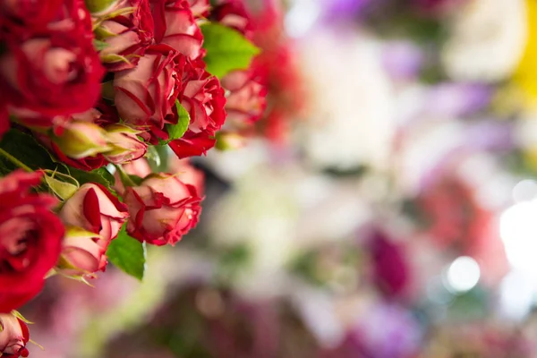 Bouquet con fiore in fiore. Sfondo floreale. Foto a bassa profondità. Colori tenui tonici — Foto Stock