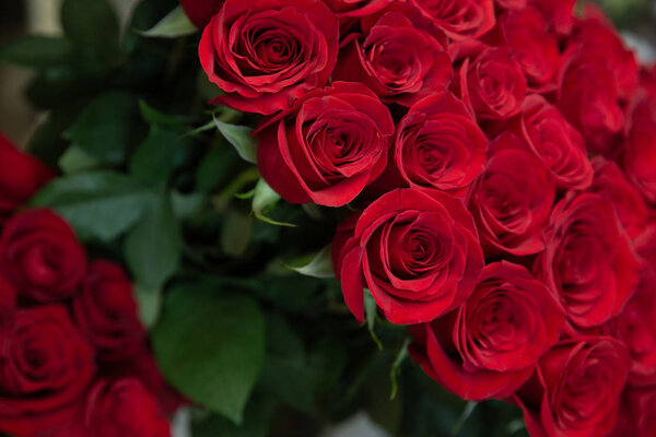 Bouquet with flower blossom. Floral background. Shallow depth photo. Soft toned colors