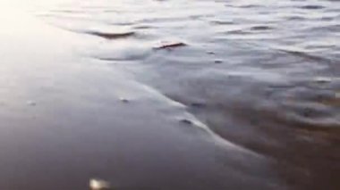 Plaj manzarası, tropik sarı kumsalda dalgalar kopuyor. Sarı kumsalda deniz dalgaları. Kum kıyısındaki mavi deniz suyunun üstündeki video..