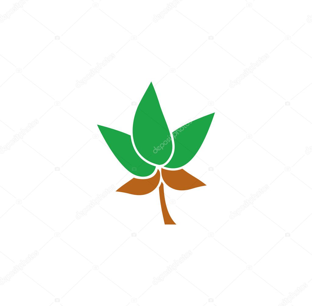 Leaf related icon on background for graphic and web design. Creative illustration concept symbol for web or mobile app.