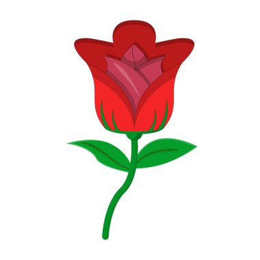 Gül yaprakları açmadan önce