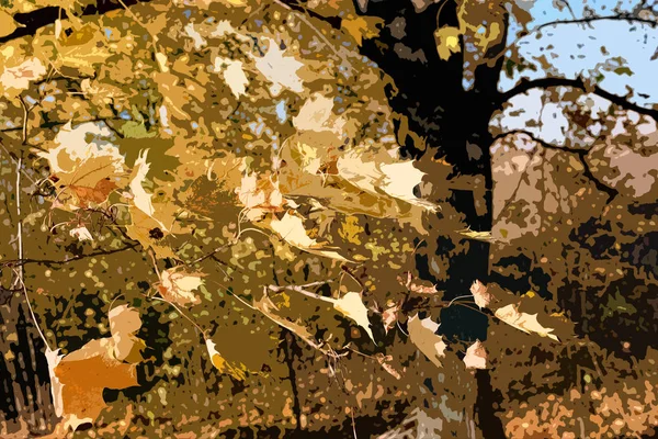 yellow autumn leaves in the midday sun