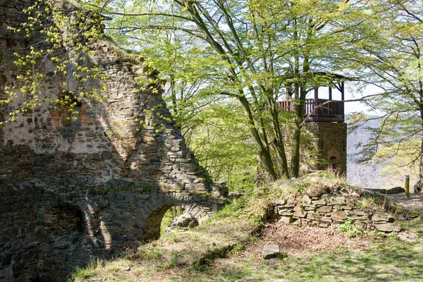 Ruïnes Van Het Stenen Middeleeuws Kasteel Muren Bomen Toren — Stockfoto