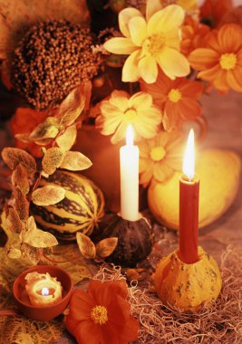 Phloxy ile Bahçe natürmort ve armut