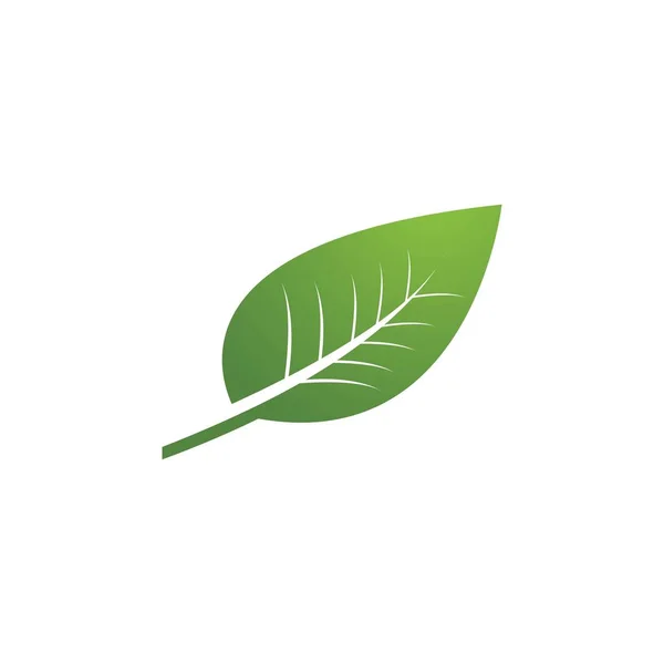 Logo live vert — Image vectorielle