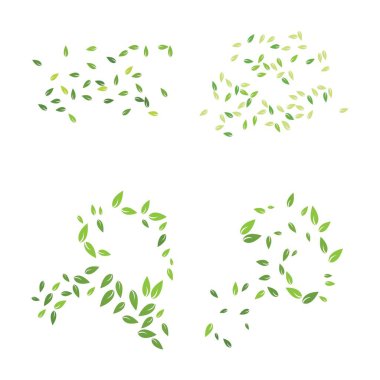 Yeşil yapraklı ekoloji doğası 