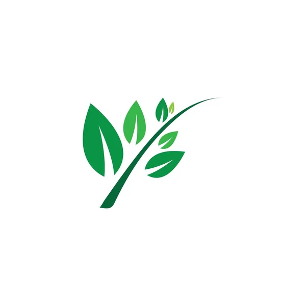 Зеленый живой логотип — стоковый вектор