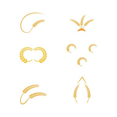 Tarım buğday Logosu 