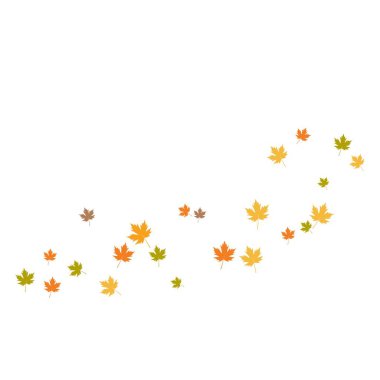 Meşe yaprağı arka plan 