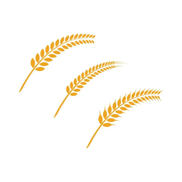 Logo del grano agricolo — Vettoriale Stock