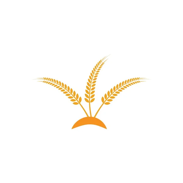 Logo del grano agricolo — Vettoriale Stock