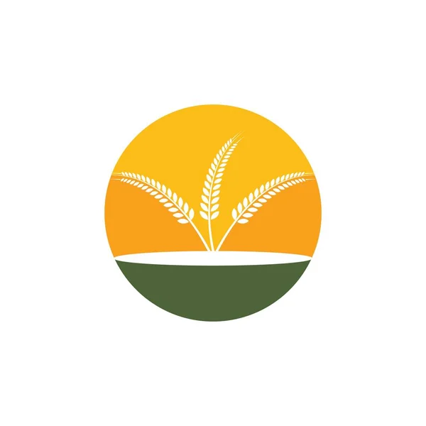 Agricultura trigo Logotipo —  Vetores de Stock