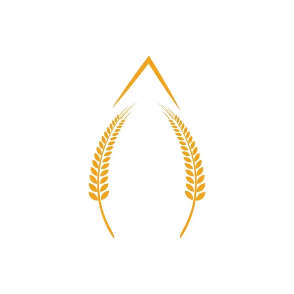 Tarım buğday Logosu — Stok Vektör