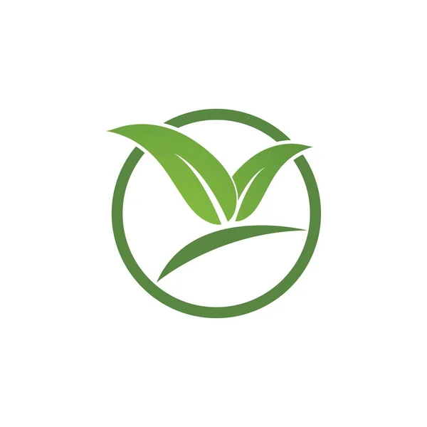 Logo hoja verde — Vector de stock