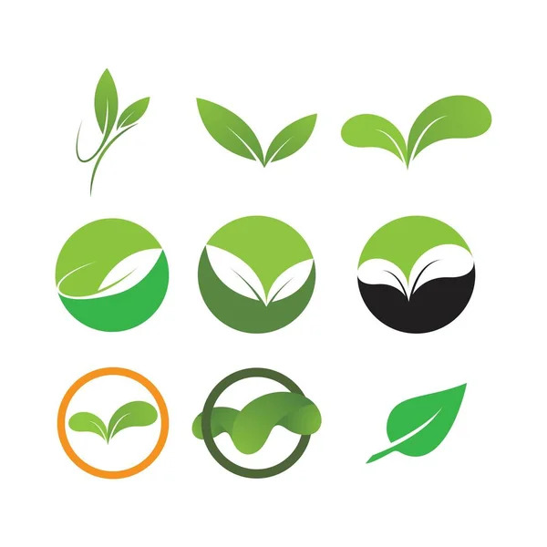 Groene blad logo — Stockvector