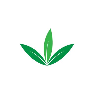 Yeşil yaprak logosu ekoloji doğa element vektör simgesi