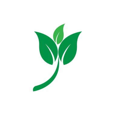 Yeşil yaprak logosu ekoloji doğa element vektör simgesi