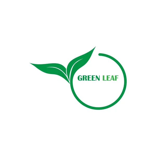 Green Leaf Logo Ekologie Příroda Element Vektor Ikona — Stockový vektor