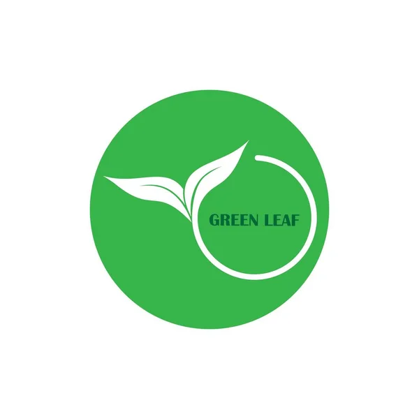 Green Leaf Logo Ekologie Příroda Element Vektor Ikona — Stockový vektor