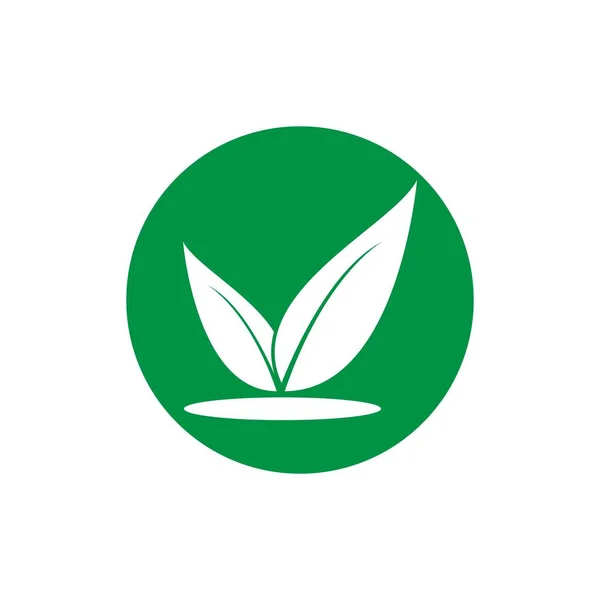 Folha Verde Logotipo Ecologia Elemento Natureza Vetor Ícone — Vetor de Stock