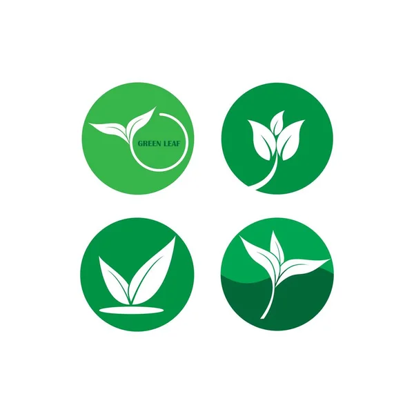 Folha Verde Logotipo Ecologia Elemento Natureza Vetor Ícone —  Vetores de Stock